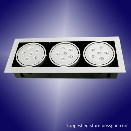 LED Grill Light (TP-L01-015W01)
